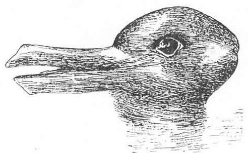 Duck or Rabbit? It depends on how you look at it.