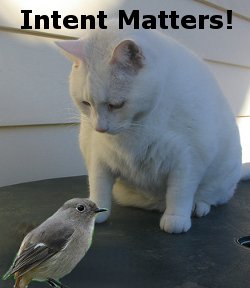 What is Your Intent?