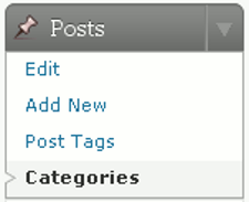 WordPress Categories Matter